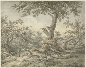 Forest Landscape by Cornelis Buys