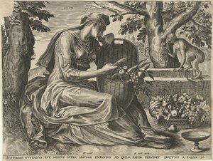 Taste by Cornelis Cort