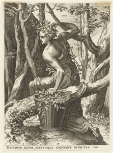 Dryas by Cornelis Cort