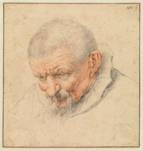 The Head of an Old Man by Cornelis Dusart
