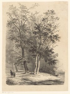 Two Figures Walking in a Forest