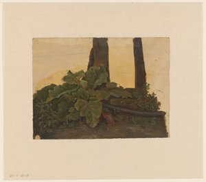 Plants at the Foot of a Tree Trunk by Cornelis Johannes de Vogel