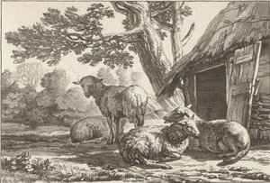Sheepfold