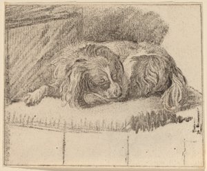Lying Dog