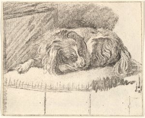 Sleeping Dog, 1777