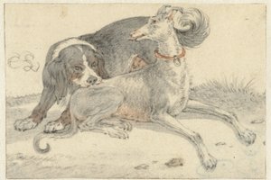 Greyhound and a partridge dog by Cornelis Saftleven