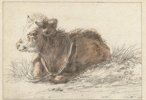 Lying Calf, Facing Left by Cornelis Saftleven