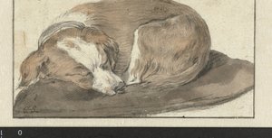 Sleeping Dog by Cornelis Saftleven
