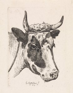 Head of a Spotted Cow (First Suite)