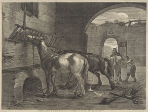Horse Stable