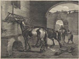Horse Stable