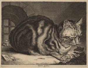 The Large Cat