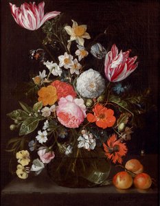Flowers in a Glass Vase on a Stone Ledge with Apricots