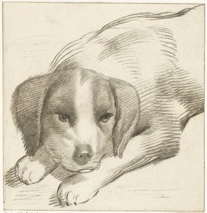 Lying Dog by Cornelis van Noorde