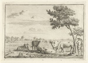 Five Cows in a Meadow