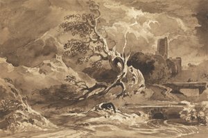 A Tree Struck by Lightning