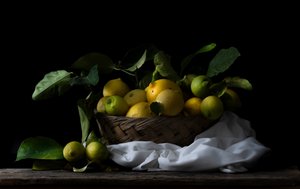 Rustic Lemon Basket