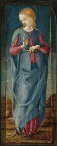The Virgin Annunciate