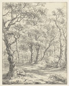 Forest Landscape by Couwenhoven