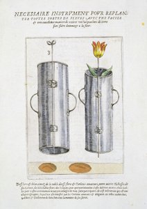 Device for re-planting flowers, from 