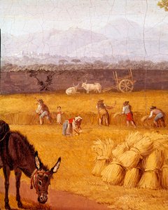 Harvest Near Caserte (detail) - Painting by Cristoforo Kneip, Naples, Museo Nazionale di San Martino