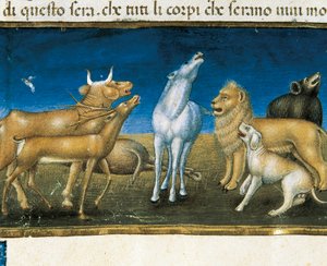 Stars will fall from the sky before the eyes of animals (miniature) Miniature by Cristoforo De Predis (1440-1486)
