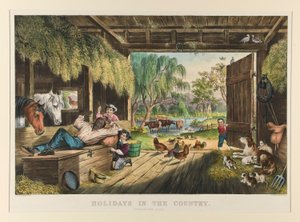 Holidays in the Country; Troublesome Flies