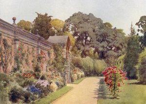 Crimson Ramblers at Osborne by Cyril Ward