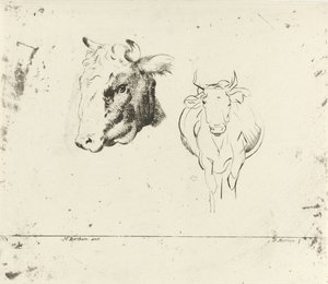 Study Sheet with a Cow