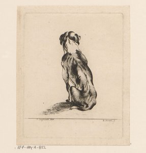 Sitting Dog Seen from the Back