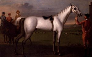 Groom Holding a Grey Racehorse by D. Quigley