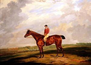 Racehorse with Jockey Up