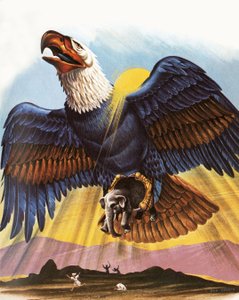The Mighty Roc by Dan Escott