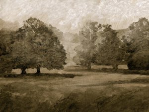 Castle Grounds by Dan Hobday