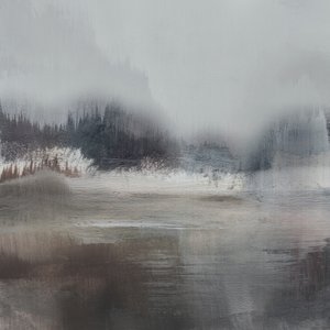 Forest Lake
