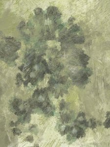 Misty Flowers 2