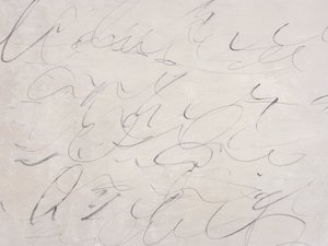 Scribs