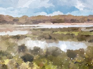The Lookout by Dan Hobday