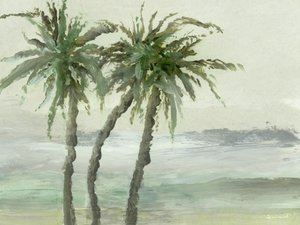 Windy Palms