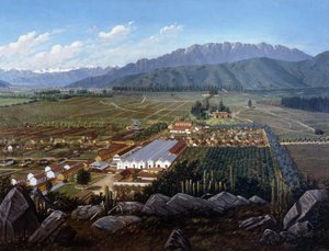The Vineyard of Erranzuriz-Panquehue, Chile