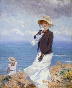 A Windy Day