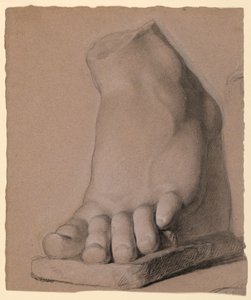 Left Foot From a Plaster