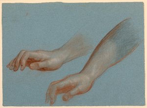 Study of Angel