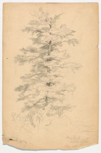 Study of Hemlock near White Lake by Daniel Huntington