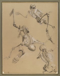 Study of skeletons, 1848