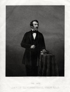 David Livingstone, Scottish Missionary and African Explorer, 1880