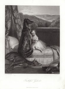 Faithful Gelert