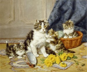 Playful Kittens