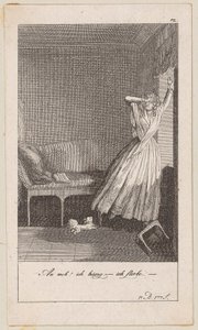 Plate 12 for Blumauer