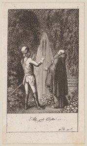 Plate 7 for Blumauer
